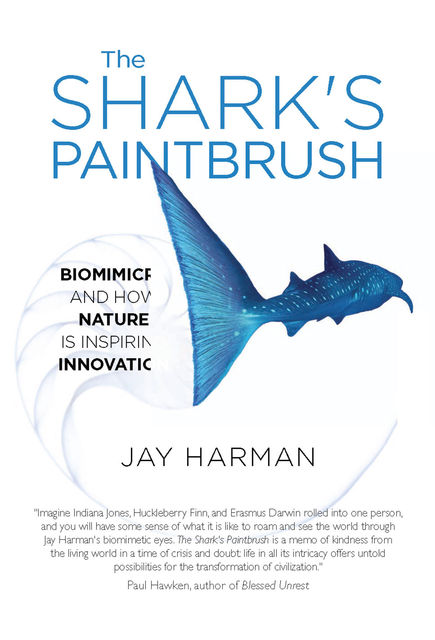 The Shark's Paintbrush, Jay Harman