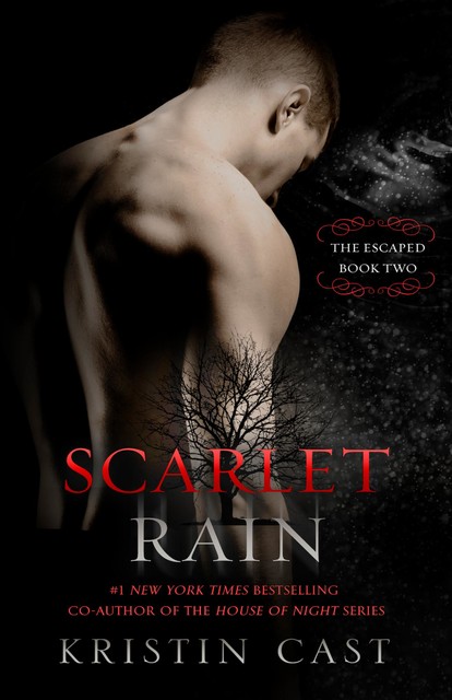 Scarlet Rain, P.C.Cast