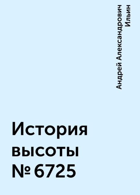 История высоты № 6725, Андрей Александрович Ильин