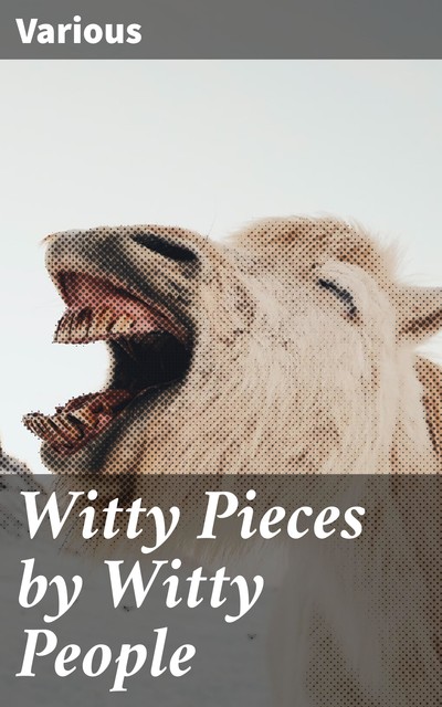 Witty Pieces by Witty People, Various
