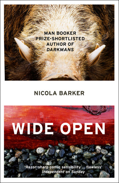Wide Open, Nicola Barker