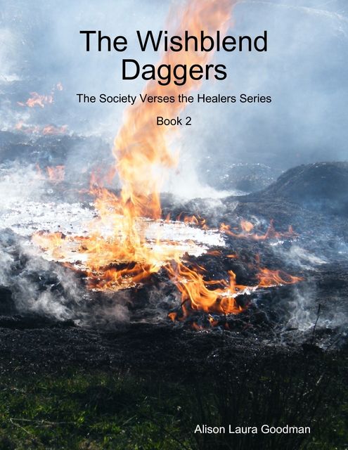 The Wishblend Daggers: The Society Verses the Healers Series Book 2, Alison Goodman