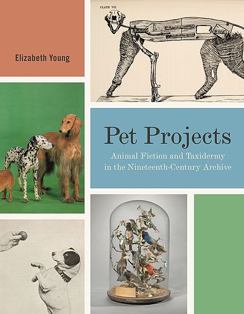 Pet Projects, Elizabeth Young