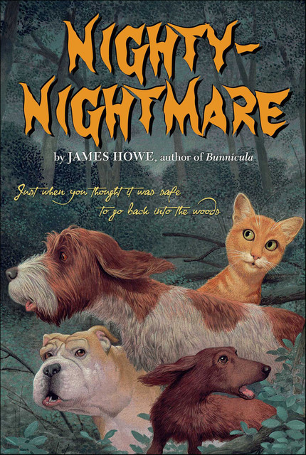 Nighty-Nightmare, James Howe