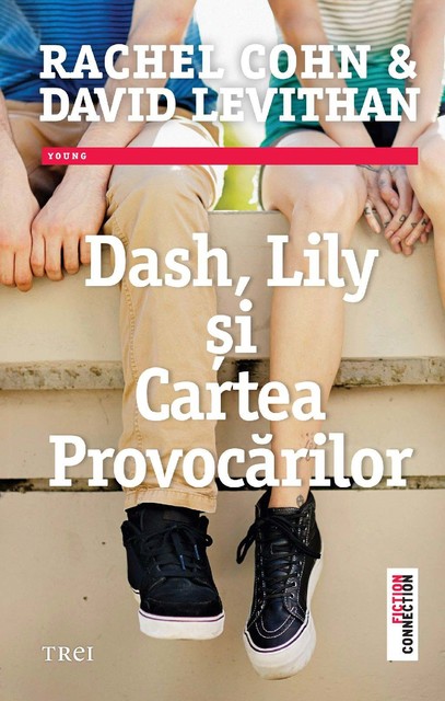 Dash, Lily și Cartea Provocărilor, David Levithan, Rachel Cohn