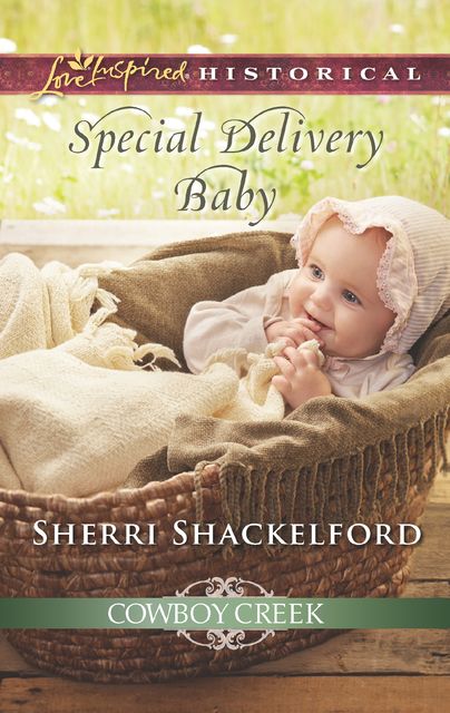 Special Delivery Baby, Sherri Shackelford