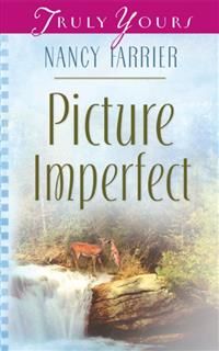 Picture Imperfect, Nancy J. Farrier