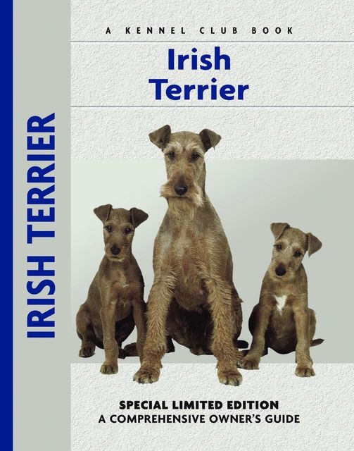 Irish Terrier, Bardi McLennan
