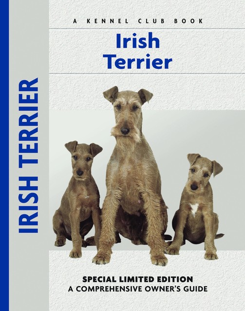 Irish Terrier, Bardi McLennan