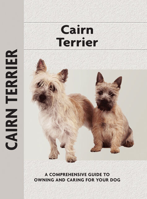 Cairn Terrier, Robert Jamieson