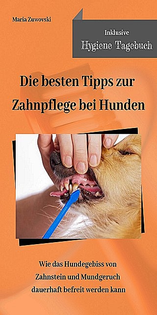 Die besten Tipps zur Zahnpflege bei Hunden, Maria Zuwovski