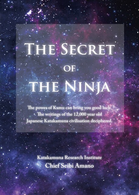 The Secret of the Ninja, Seibi Amano