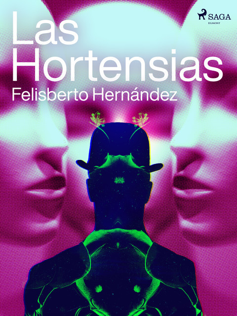 Las Hortensias, Felisberto Hernández