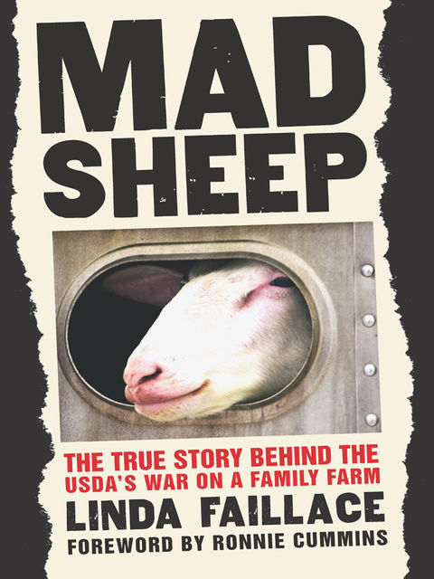 Mad Sheep, Linda Faillace