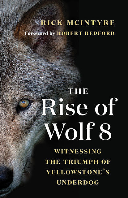 The Rise of Wolf 8, Rick McIntyre
