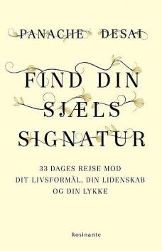 Find din sjæls signatur, Panache Desai