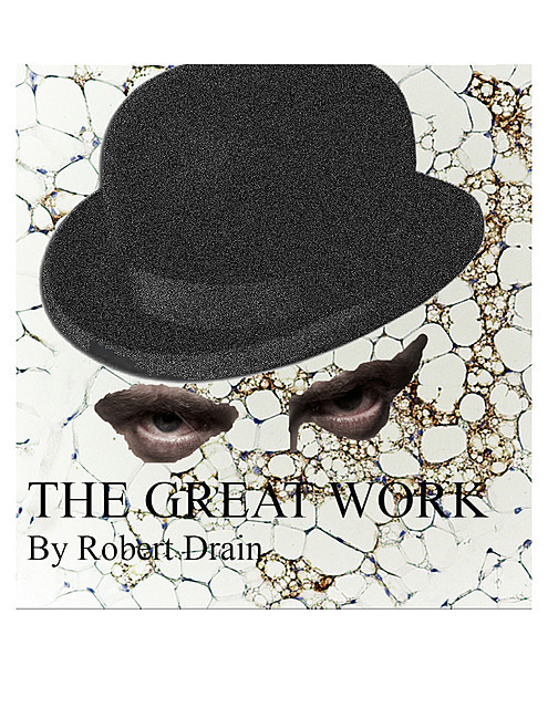 The Great Work in the United States of America, Robert Drain