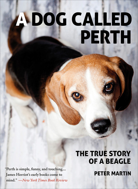 A Dog Called Perth, Peter Martin