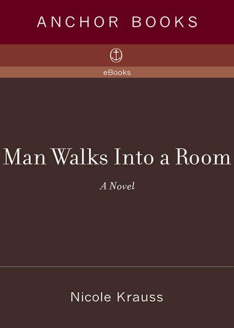 Man Walks Into a Room, Nicole Krauss