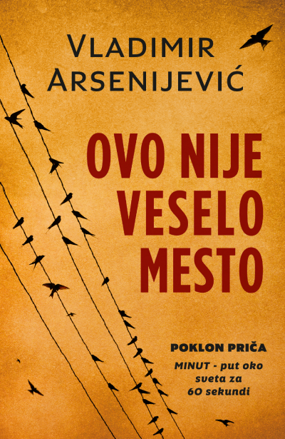 Ovo nije veselo mesto, Vladimir Arsenijević