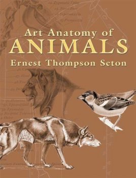 Art Anatomy of Animals, Ernest Thompson Seton