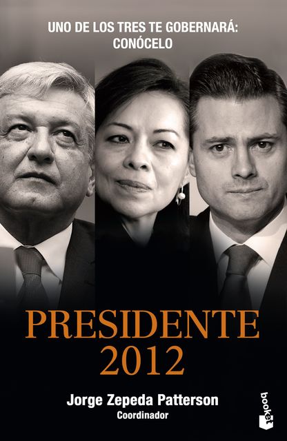 Presidente 2012, Jorge Zepeda Patterson