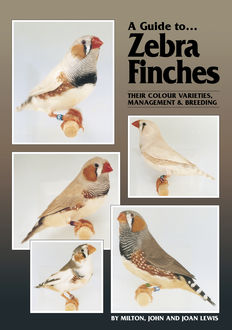 A Guide to Zebra Finches, their Colour Varieties, Management and Breeding, John Lewis, Milton Lewis, Joan Lewis