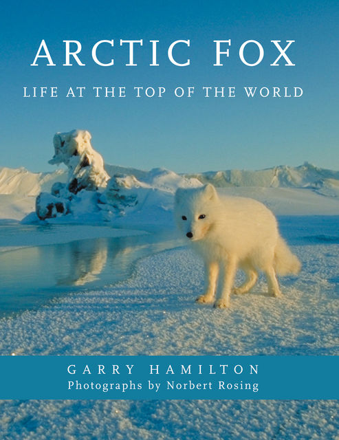 Arctic Fox, Garry Hamilton