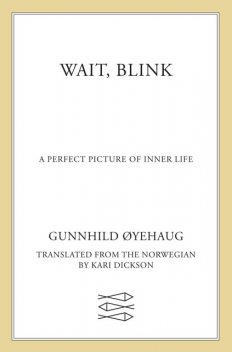 Wait, Blink, Gunnhild Oyehaug