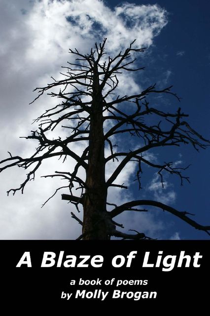 A Blaze of Light: A Book of Poems, Molly Brogan