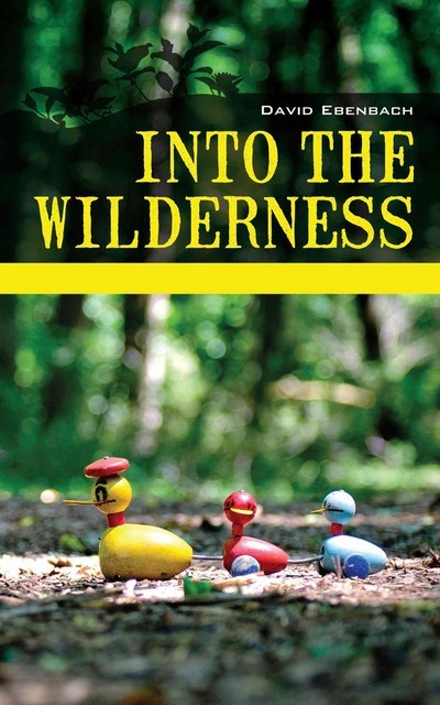 Into the Wilderness, David Harris Ebenbach