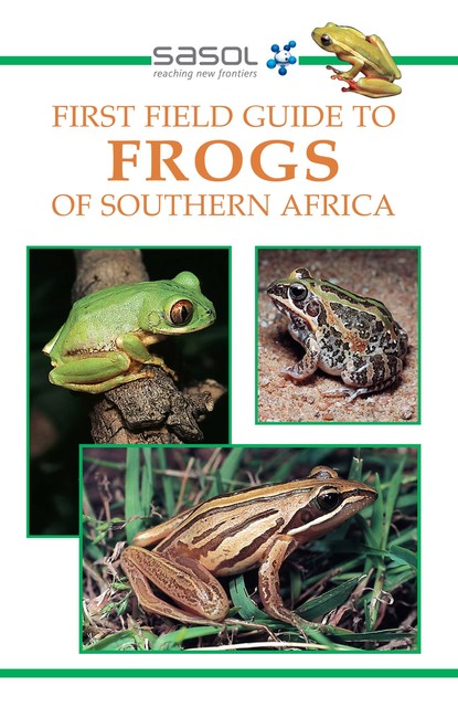 First Field Guide to Frogs of Southern Africa, Vincent Carruthers
