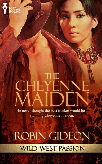 The Cheyenne Maiden, Robin Gideon