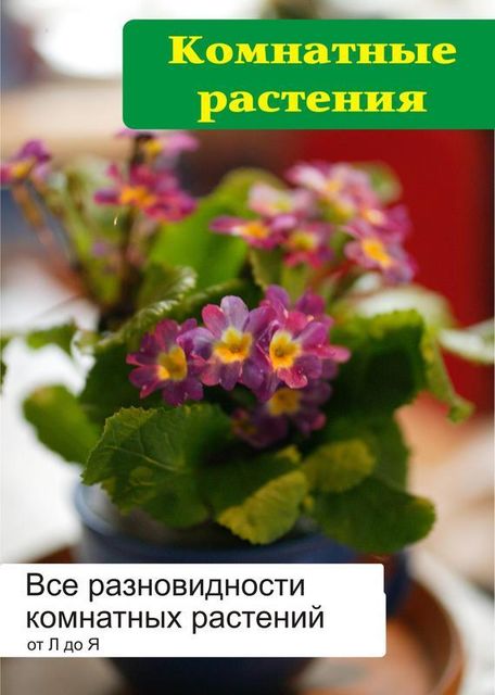 Все разновидности комнатных растений (от Л до Я), Илья Мельников