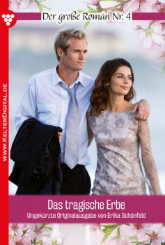 Der große Roman 4 – Liebesroman, Ulla Birkenstein