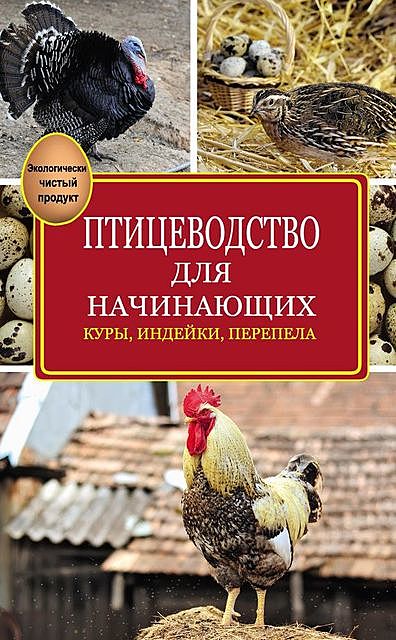Птицеводство для начинающих, Эдуард Бондарев