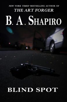 Blind Spot, B.A.Shapiro