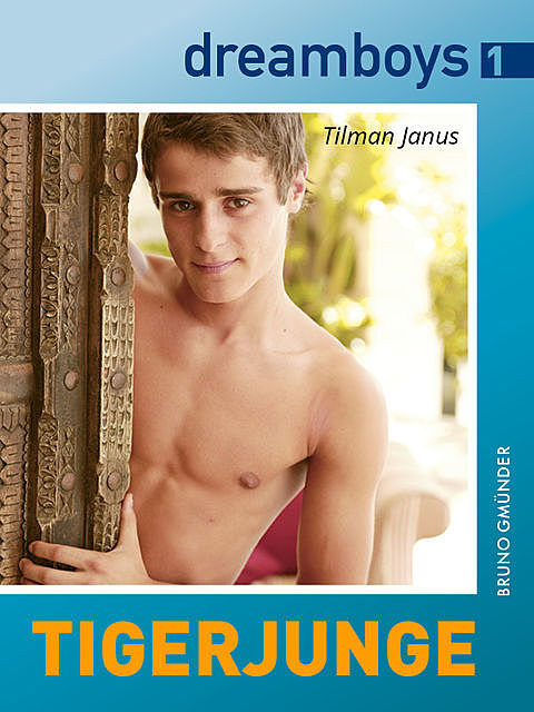 dreamboys 1: Tigerjunge, Tilman Janus