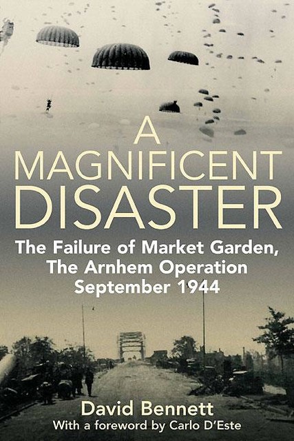 Magnificent Disaster, David Bennett