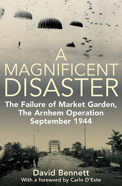 Magnificent Disaster, David Bennett
