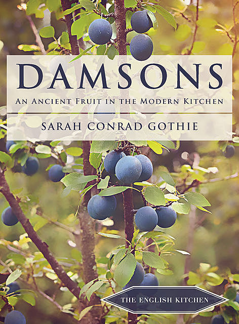 Damsons, Sarah Conrad Gothie