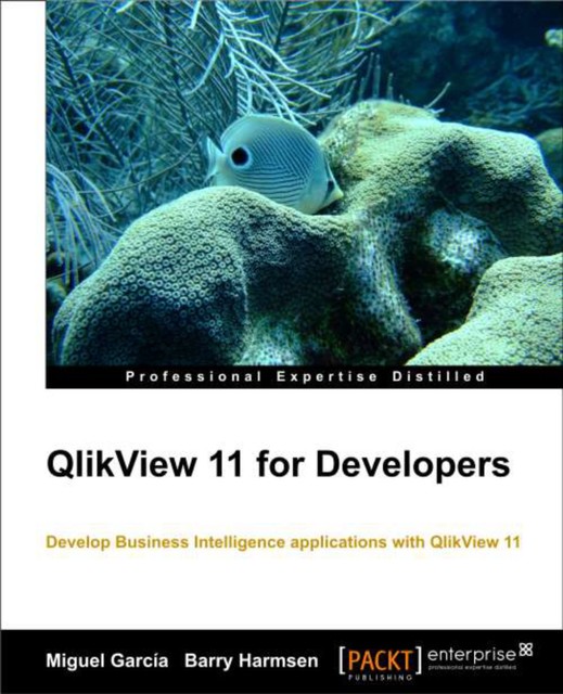 QlikView 11 for Developers, Barry Harmsen, Miguel Garcia