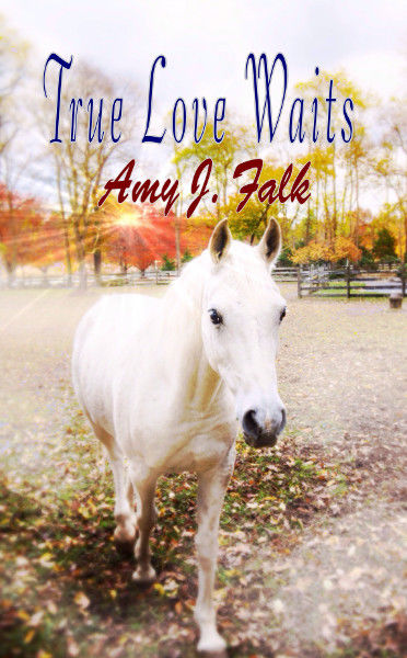 True Love Waits, Amy J.Falk