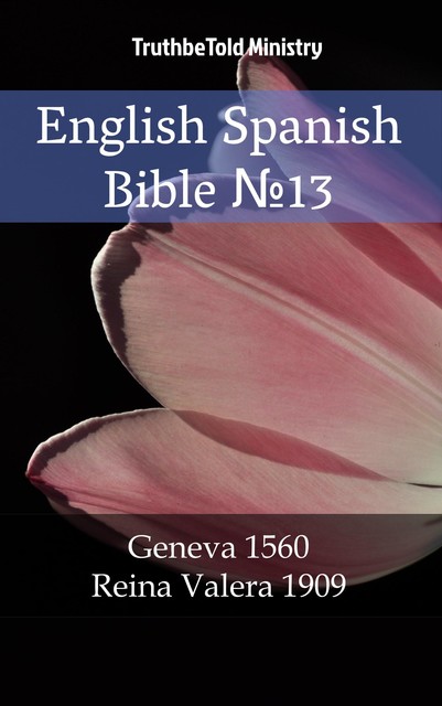 English Spanish Bible №13, Joern Andre Halseth