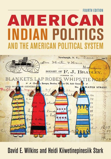 American Indian Politics and the American Political System, Heidi Kiiwetinepinesiik Stark, David E. Wilkins