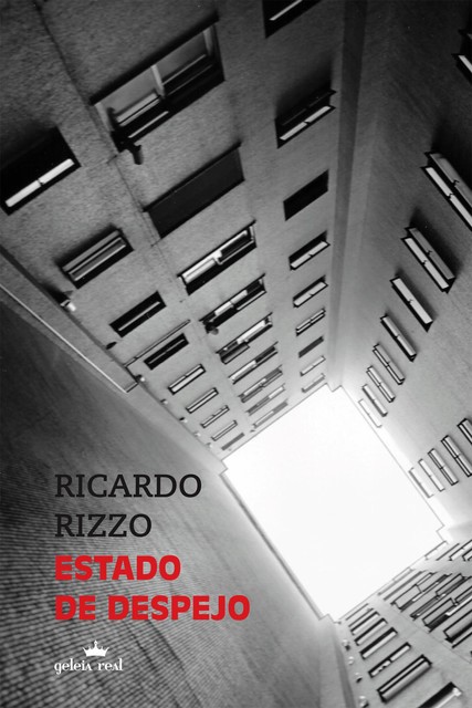 Estado de despejo, Ricardo Rizzo