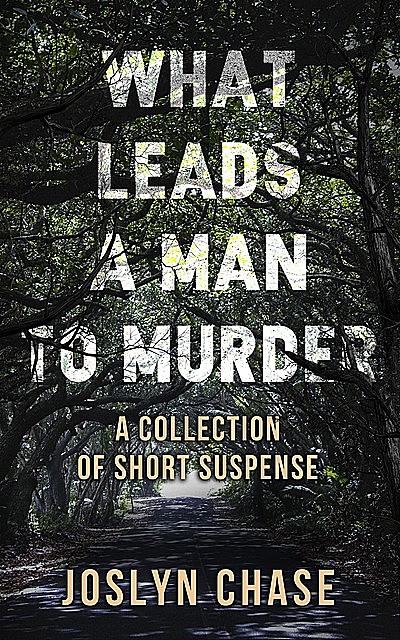 WHAT LEADS A MAN TO MURDER, Joslyn Chase