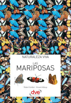 Las mariposas, Vincent Albouy, Robert Guilbot