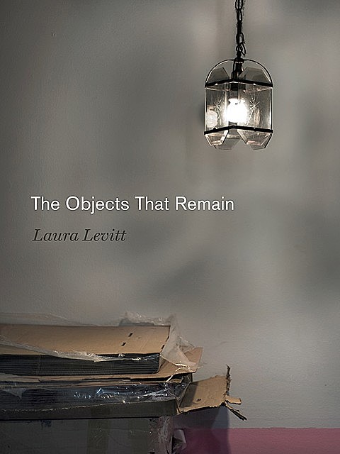 The Objects That Remain, Laura Levitt