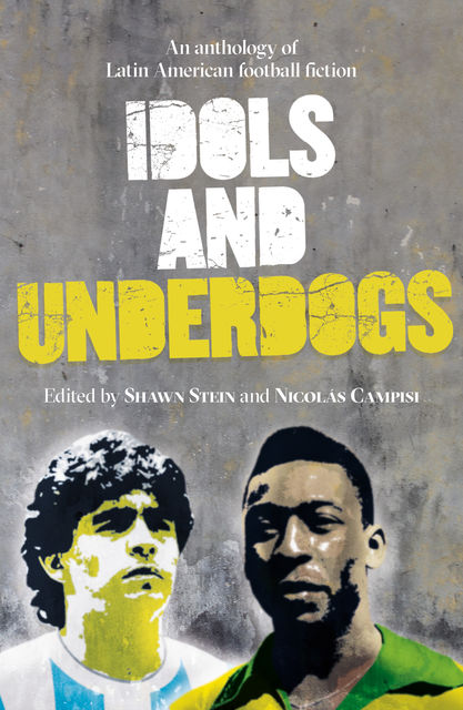 Idols and Underdogs, Shawn Stein